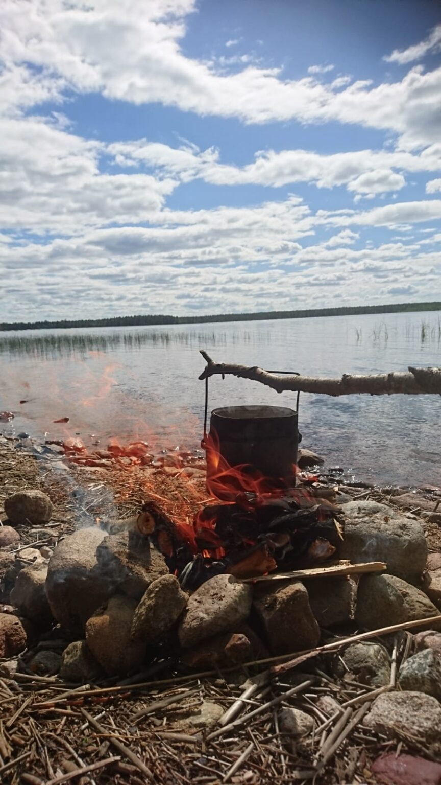 Taukotulet